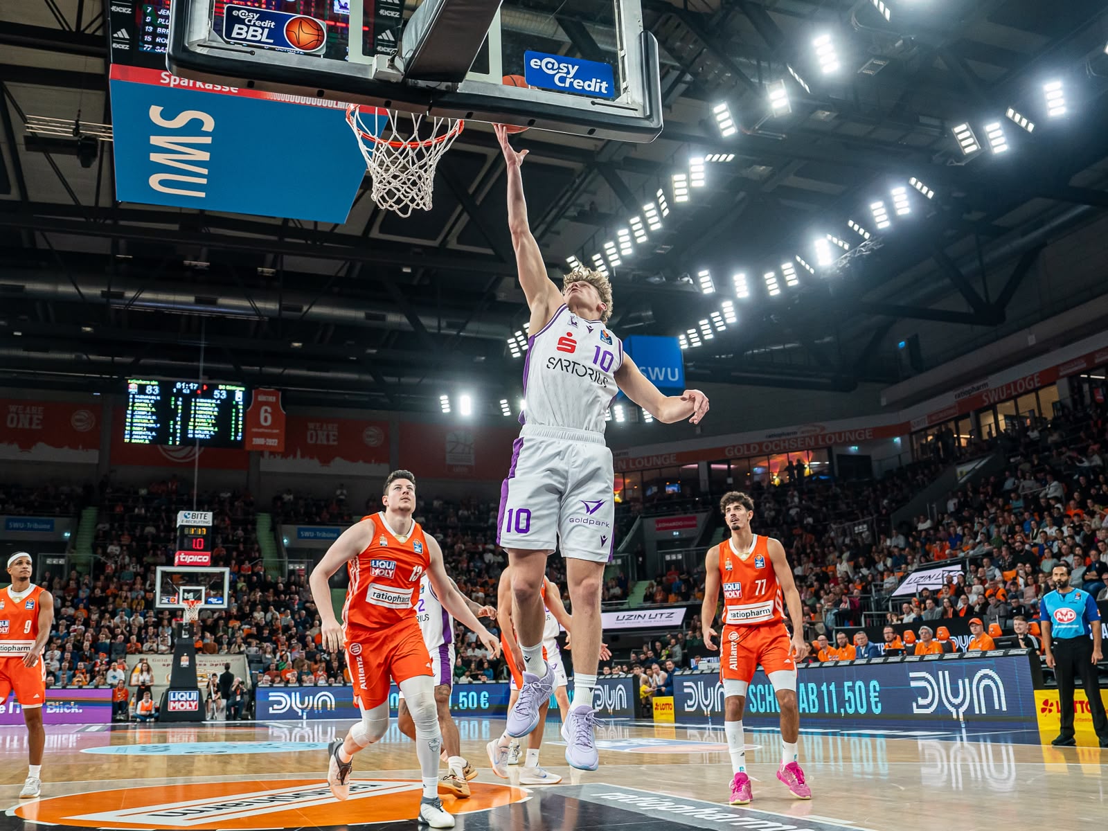 ProB: Joshua Haase schlägt bei den Dresden Titans neues Kapitel auf